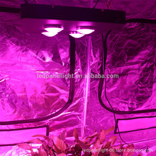 800W Unique Design Double Power Spider 4 Plus COB Led Grow Light hydroponic Indoor Greenhouse Plant